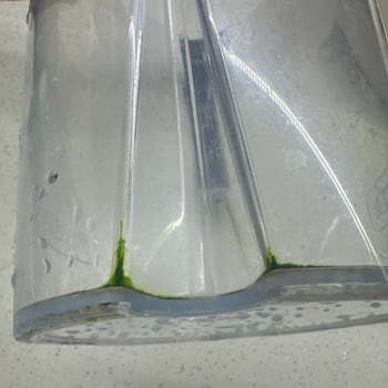 Brita Sürahide Geçmeyen Yosunlaşma Ve Sağlıksız Kullanım Sorunu