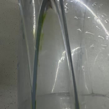 Brita Sürahide Geçmeyen Yosunlaşma Ve Sağlıksız Kullanım Sorunu