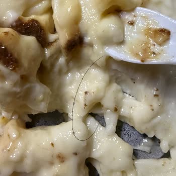 Aldığım Tatlının İçinden Saç Çıktı Hijyen Konusunda Mağdur Oldum