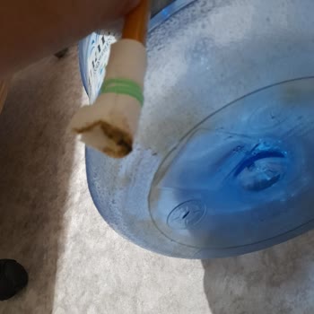 Harmankaya Su Hijyende Yaşanan Ciddi Sorunlar