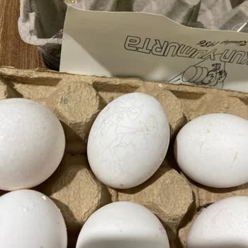 Migros'tan Aldığım Bozuk Ürünlerin İadesi Gerçekleşmiyor