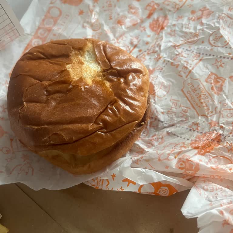 Popeyes Sent Me a Plain XL Sandwich and Spoiled Tomatoes