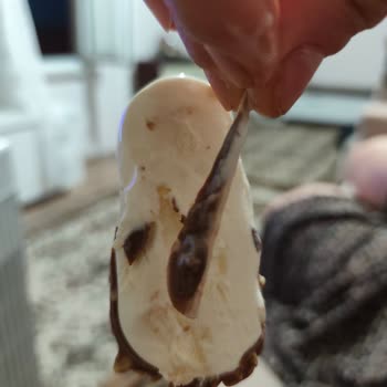 Dondurma İçinden Tahta Parçası Çıkması Ve İade Talebi