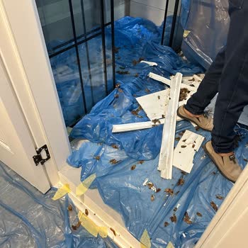 Fame Tasarım İle Sorun Yaşama