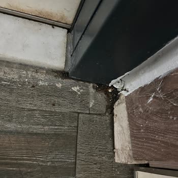 Doramar Resort SPA'da Kötü Hijyen Ve Yetersiz Hizmet Deneyimi