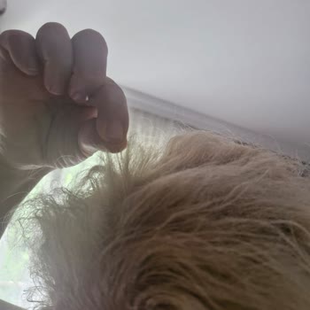 Aldığım Saç Boyası Yanlış Çıktı Saçım Kızıl Oldu Mağaza İlgilenmedi