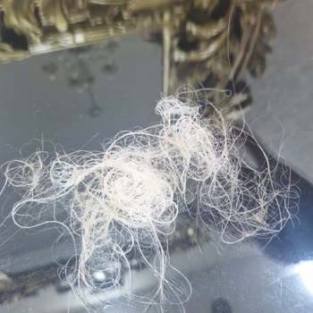 Aldığım Saç Boyası Yanlış Çıktı Saçım Kızıl Oldu Mağaza İlgilenmedi