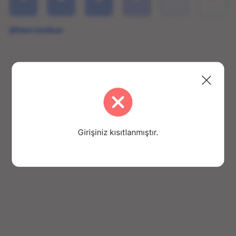 Hesabımda Giriş Kısıtlaması Sorunu Acil Çözülmeli!