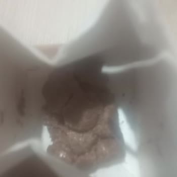 Albeni Draje Ürününün Kalitesi Hayal Kırıklığı Yarattı