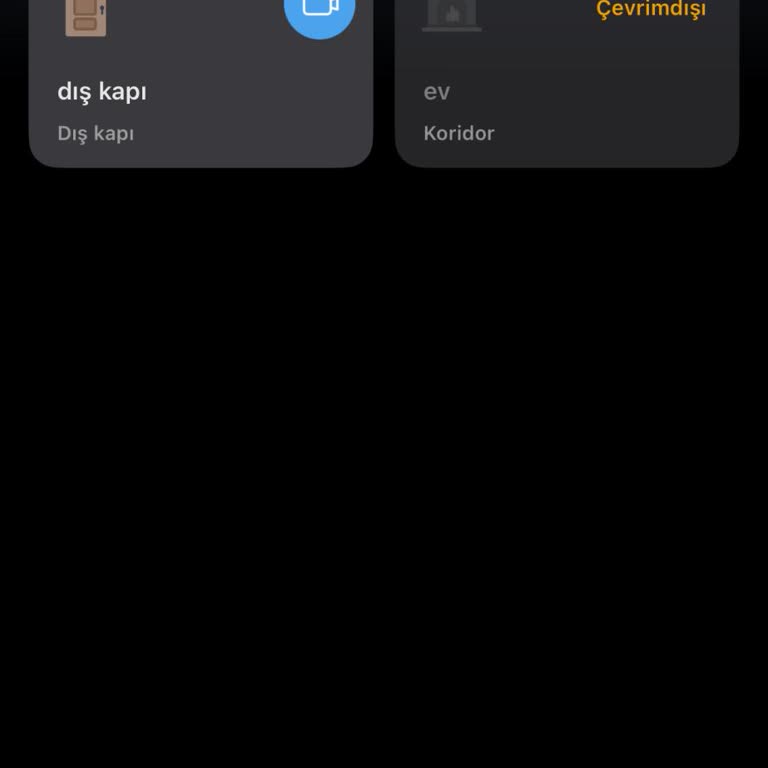 Satın Aldığım Tapo C510W Kameralarda Sürekli Bağlantı Ve Ses Sorunu