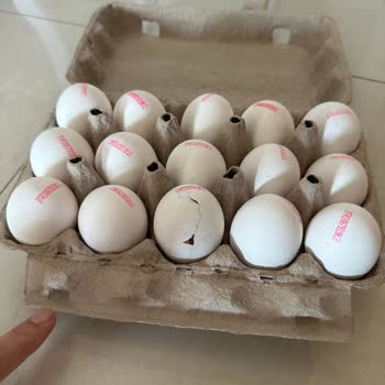 Bozuk Yumurtalar Ve Yetersiz İade Süreci Hayal Kırıklığı Yarattı