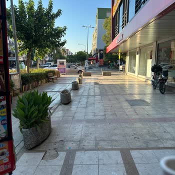 Yoğun Cadde Üzerindeki Çöp Kutusu Yetersizliği Hakkında Destek Talebi