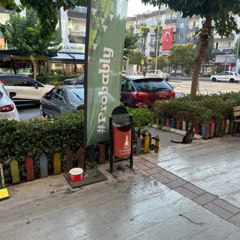 Yoğun Cadde Üzerindeki Çöp Kutusu Yetersizliği Hakkında Destek Talebi