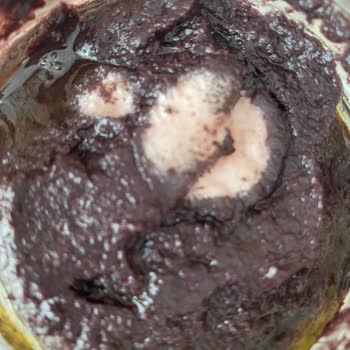 Aldığım Zeytin Ezmesi Kapağı Açmadan Küflü Çıktı