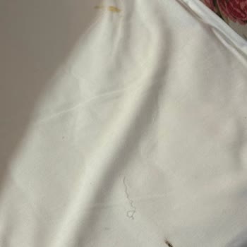 Balkan Turunda Vaat Edilen Hizmetlerin Karşılanmaması Ve Yaşanan Mağduriyetler