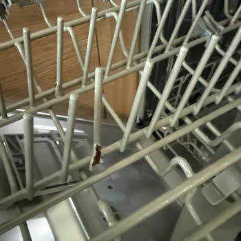 Franke Bulaşık Makinesinde Paslanma Ve Yıkama Sorunları Çözülmüyor