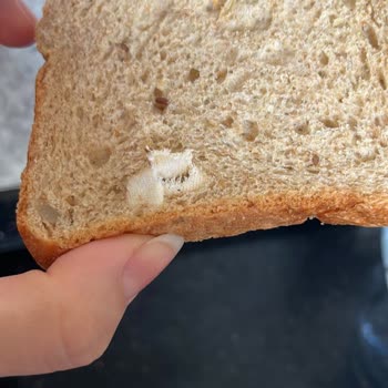 UNO Çok Tahıllı Ekmekte Kumaş Parçası Şoku: Gıda Güvenliği Tehlikede!