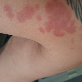 Kral Gayrimenkul Şikayetçiyim