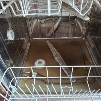 Kral Gayrimenkul Şikayetçiyim