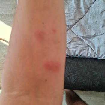 Kral Gayrimenkul Şikayetçiyim