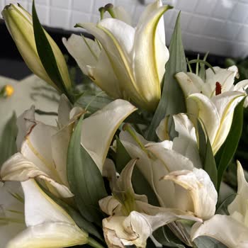 Siparişimde Yanlış Çiçek Gönderildi, Beklentim Karşılanmadı