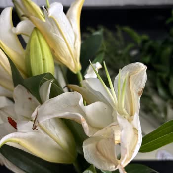 Siparişimde Yanlış Çiçek Gönderildi, Beklentim Karşılanmadı