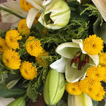 Siparişimde Yanlış Çiçek Gönderildi, Beklentim Karşılanmadı