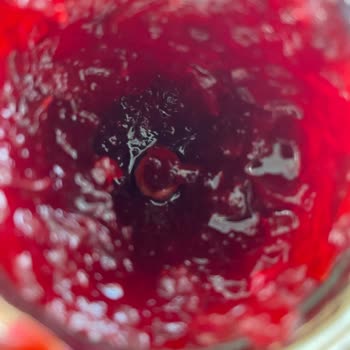 Vişne Reçelinde Sürekli Çekirdek Çıkması Tüketim Keyfimi Azaltıyor