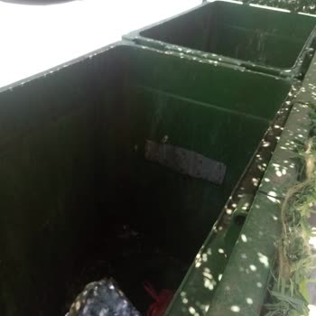 Çöp Konteynerleri Ve Toplanmayan Çöpler Sivrisinek Sorununa Yol Açıyor