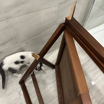 Yargıcı Satın Aldığım Rejisör Koltuğunun Kırılması ve Satış Sonrası Destek Sorunu