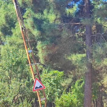 Elektrik Direği Kaza Sonrası Tehlike Oluşturuyor, Yenisini Talep Ediyoruz