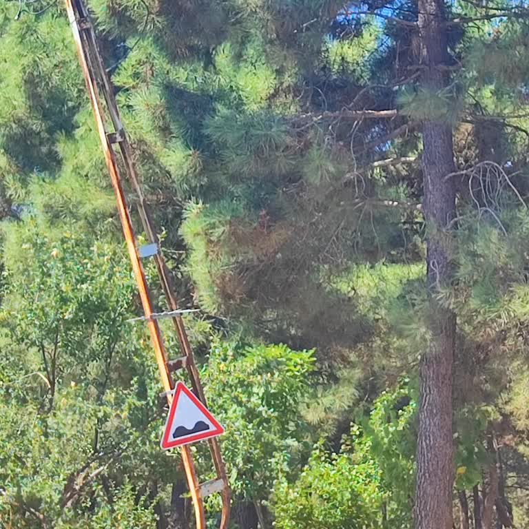 Elektrik Direği Kaza Sonrası Tehlike Oluşturuyor, Yenisini Talep Ediyoruz