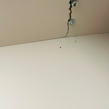 Kelebek Koltukta Tekrar Eden Çatlak Ve Müşteri Hizmetlerinde Sessizlik