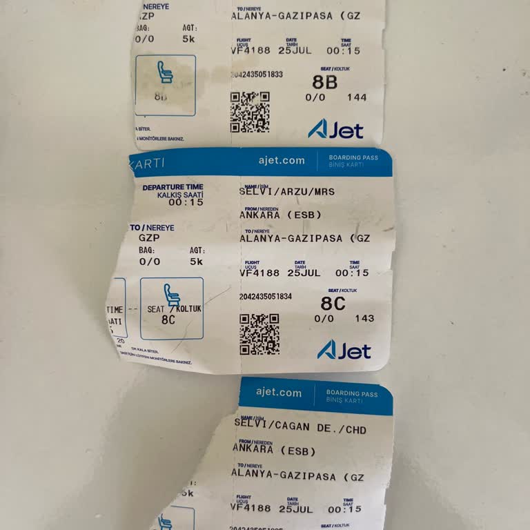 Son Dakika Uçuş İptali Ve Yetersiz Alternatifler Mağduriyet Yarattı