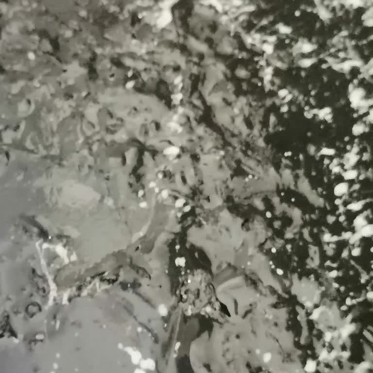 Aldığım Cila Yüzünden Parkem Mahvoldu Maddi Kaybım Büyük