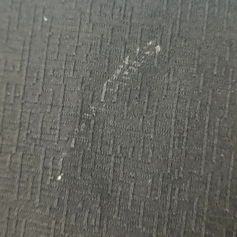 Philips Ütü Kireç Sorunu: Çamaşırlar Leke İçinde Kaldı!