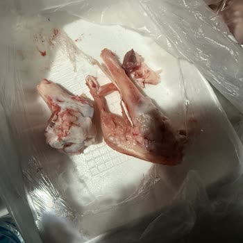 Etin İçine Gizlice Kemik Eklenerek Haksız Ağırlık Uygulandı