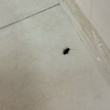 Kiptaş Yeşilpınar Evlerinde Süregelen Yönetim Ve Tesis Sorunları