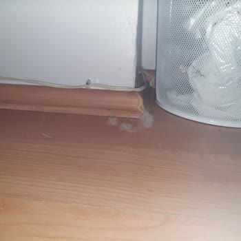 Yatakta Sürekli Elyaf Ve Tüylenme, Sağlık Endişesi Ve Çözüm Eksikliği