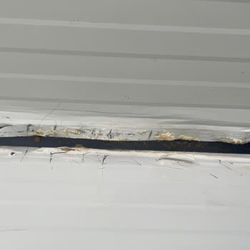 Kon Prefabrikten Aldığım Konteynerin Çatısı Akıyor Satış Sonrası İlgi Yok