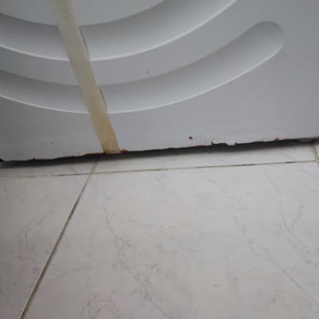 Yeni Alınan Bosch Çamaşır Makinesinde Köpük Sızması, Yıkama Sorunu Ve Paslanma