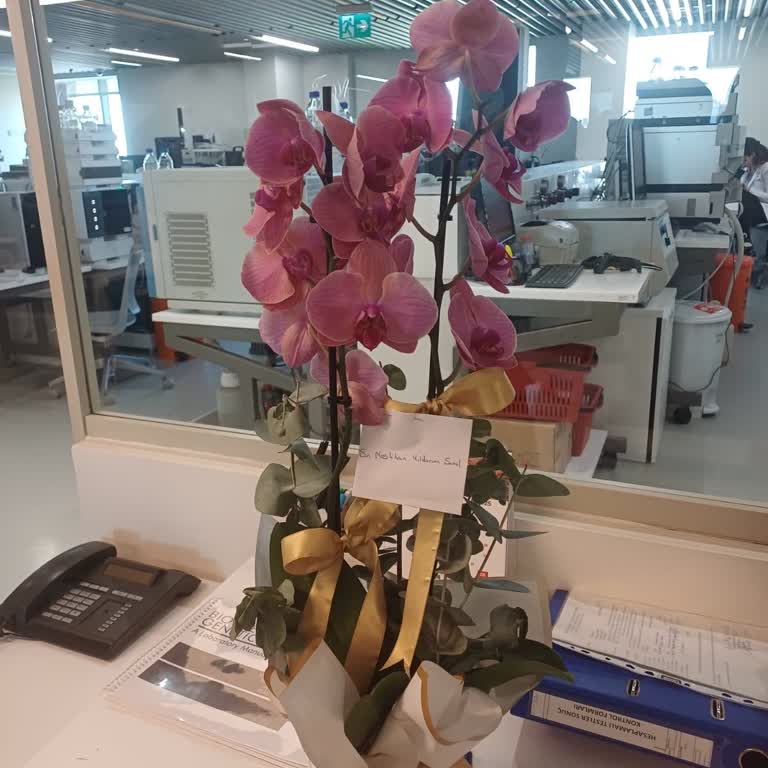 Siparişimde Yanlış Ve Solmuş Çiçek Gönderimi, Fiyat Uyumsuzluğu