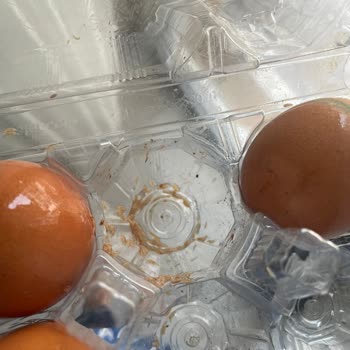 A101 Marketten Aldığım Organik Yumurtalar Bozuk Ve Kurtlu Çıktı, Yetkililerden Açıklama Bekliyorum