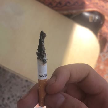 Marlboro Touch Sigaralarda Kalite Düşüşü Ve Tütün Dökülmesi Sorunu