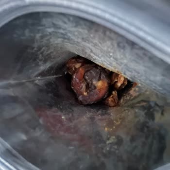 Tadım Hurma Ürünlerinde Tekrarlayan Kalite Sorunları Güvenimi Sarsıyor