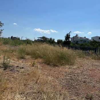 Urla Belediyesi Bakım Eksikliği Nedeniyle Mahallemizde Artan Koku, Güvenlik Ve Ulaşım Sorunları