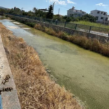 Urla Belediyesi Bakım Eksikliği Nedeniyle Mahallemizde Artan Koku, Güvenlik Ve Ulaşım Sorunları