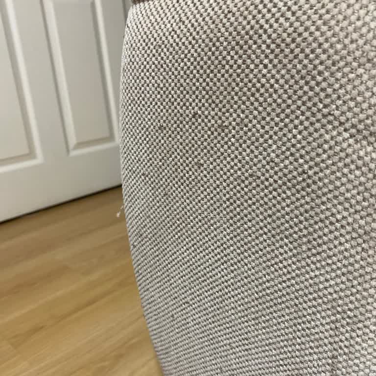 Kedi Dostu Kumaşlı Koltukta Dayanıklılık Sorunu Ve Hayal Kırıklığı