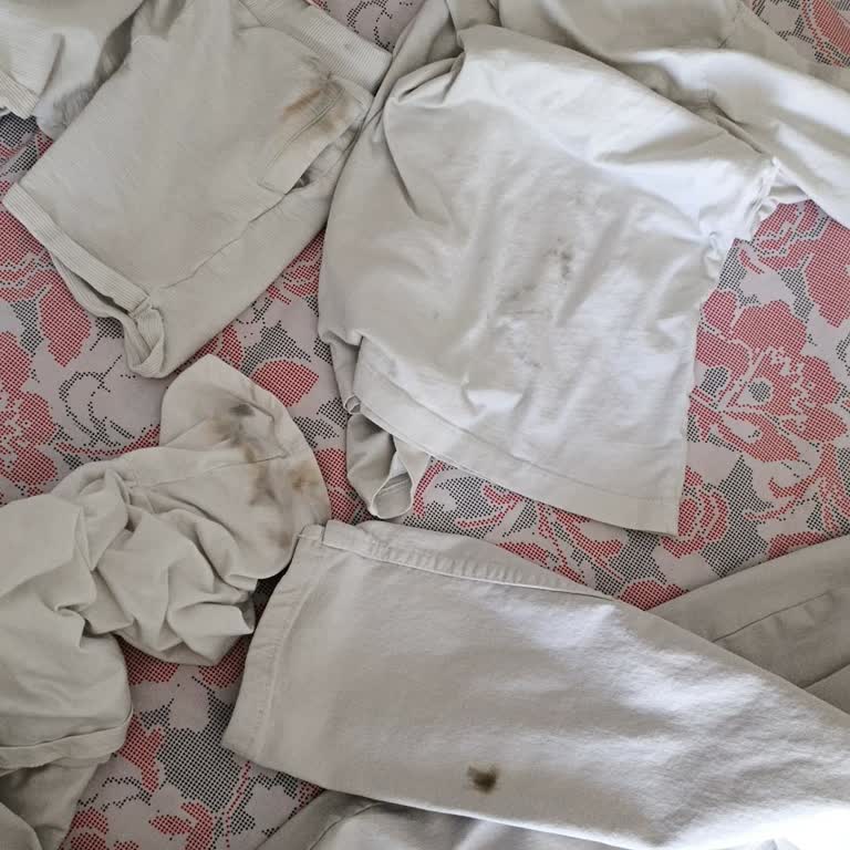 Çamaşır Makinesinde Gri Lekeler Ve Sık Arıza Sorunu