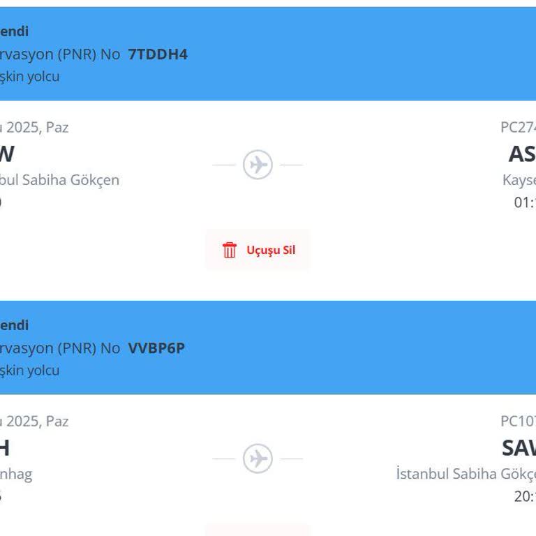 Pegasus Gecikmesi Nedeniyle Bagajım Ve İlaçlarım Mağdur Oldu